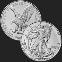2023 1 OZ AMERICAN SILVER EAGLE Coin 