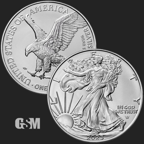 2023 1 OZ AMERICAN SILVER EAGLE Coin 777