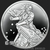 1 oz Cleansing the Temple Proof Proof Silver Shield MiniMintage Proof Silver Round 2025 Golden State Mint Silver Obverse