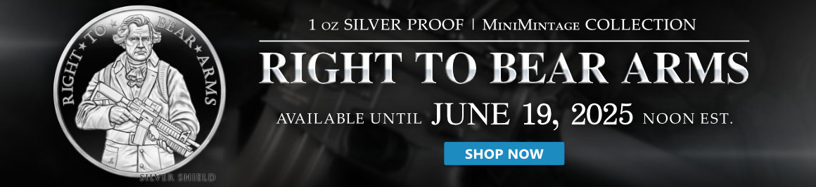 1 oz Right to Bear Arms Proof MiniMintage Silver Round